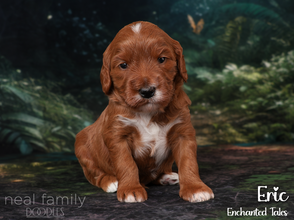 IMG_2813 Blue 20260901 Three Weeks