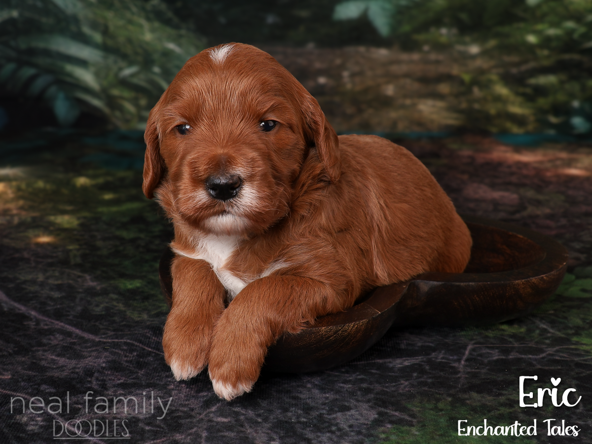 IMG_2826 Blue 20260901 Three Weeks