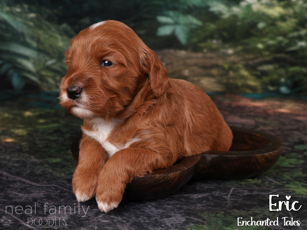 IMG_2827 Blue 20260901 Three Weeks