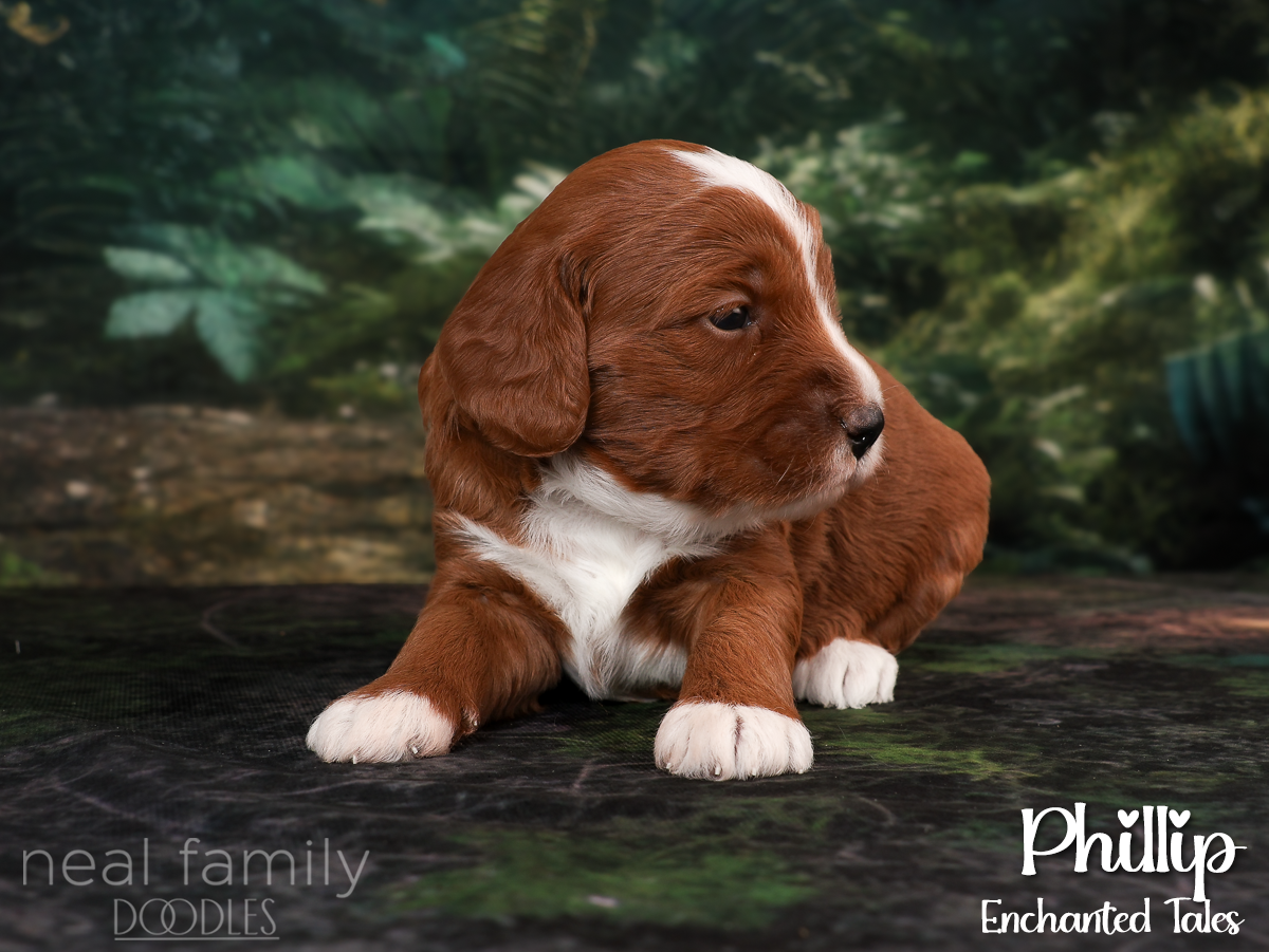 IMG_9919 Purple 20260901 Three Weeks