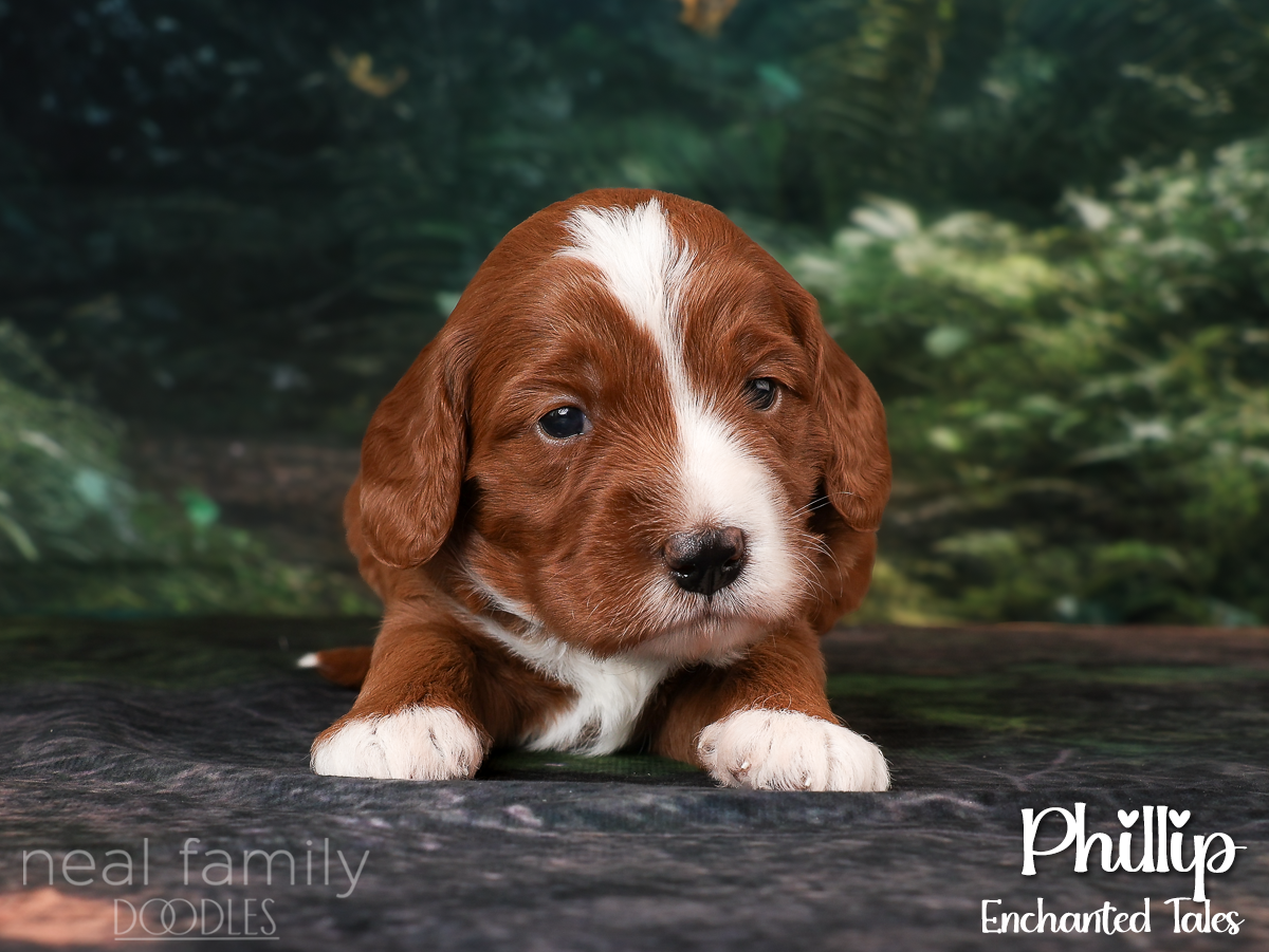 IMG_9921 Purple 20260901 Three Weeks