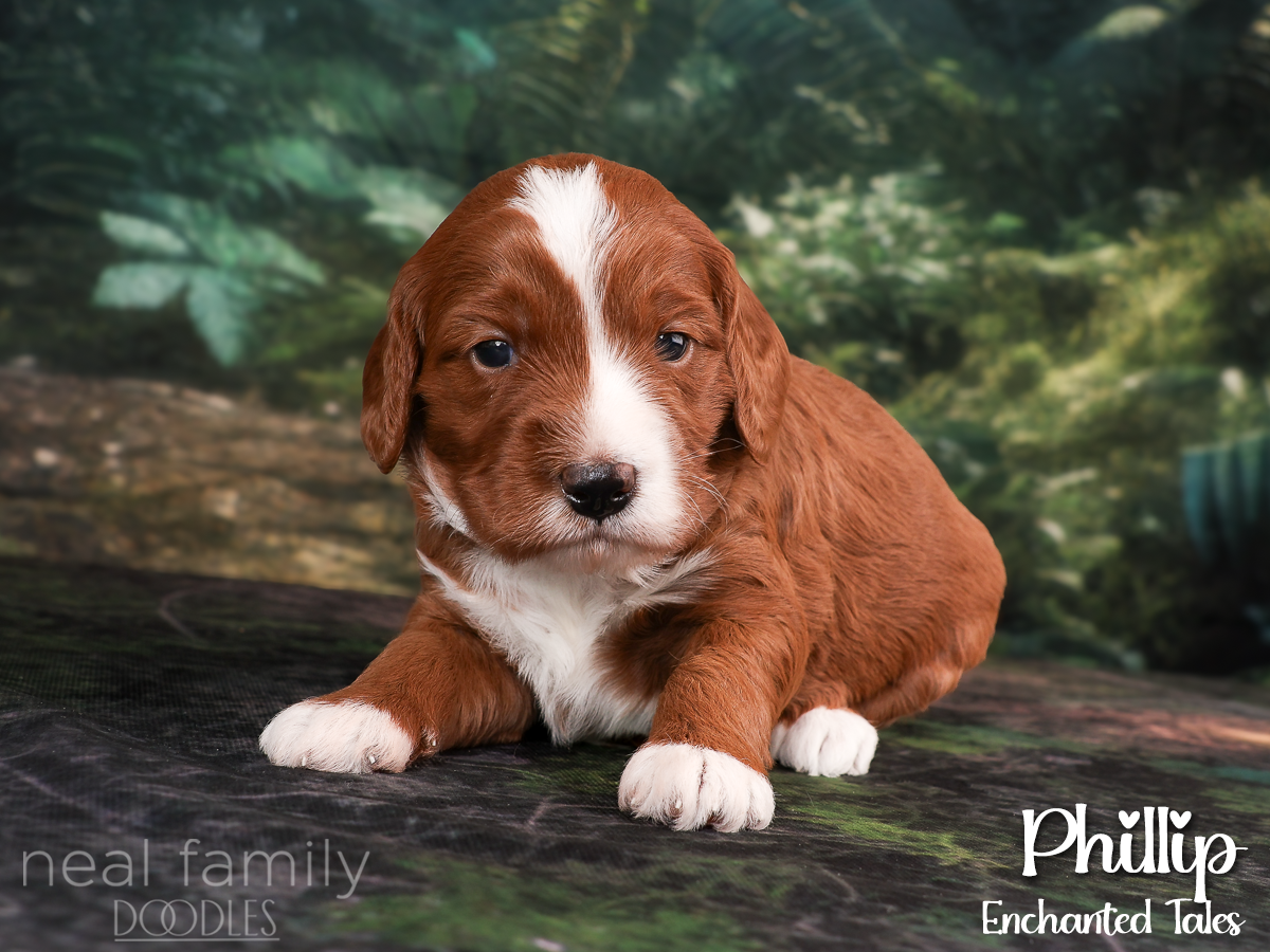 IMG_9918 Purple 20260901 Three Weeks