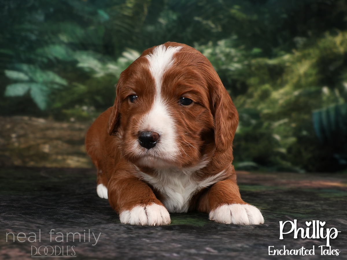 IMG_9953 Purple 20260901 Three Weeks