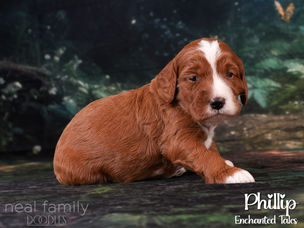 IMG_9991 Purple 20260901 Three Weeks