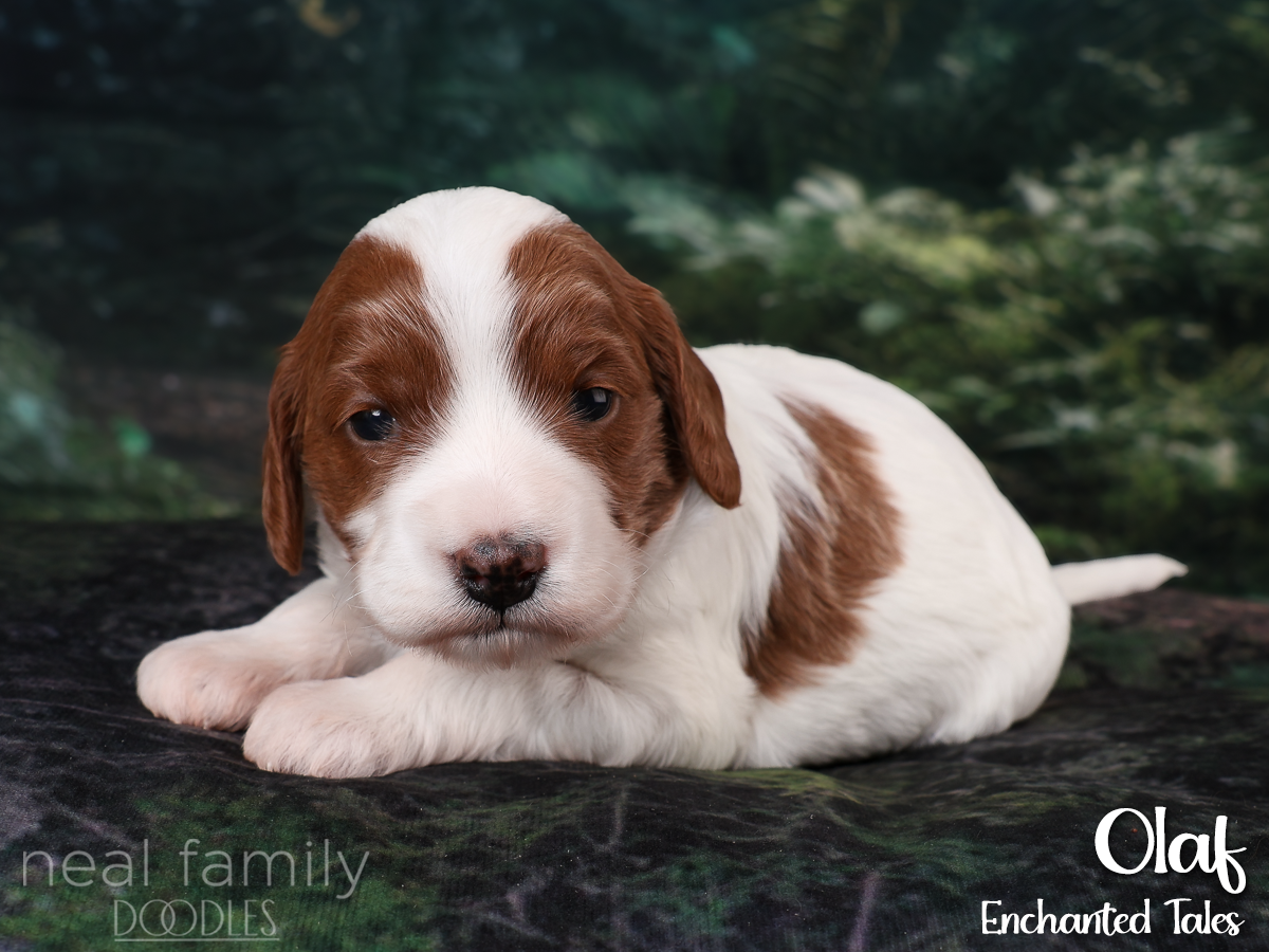 IMG_2849 White 20260901 Three Weeks