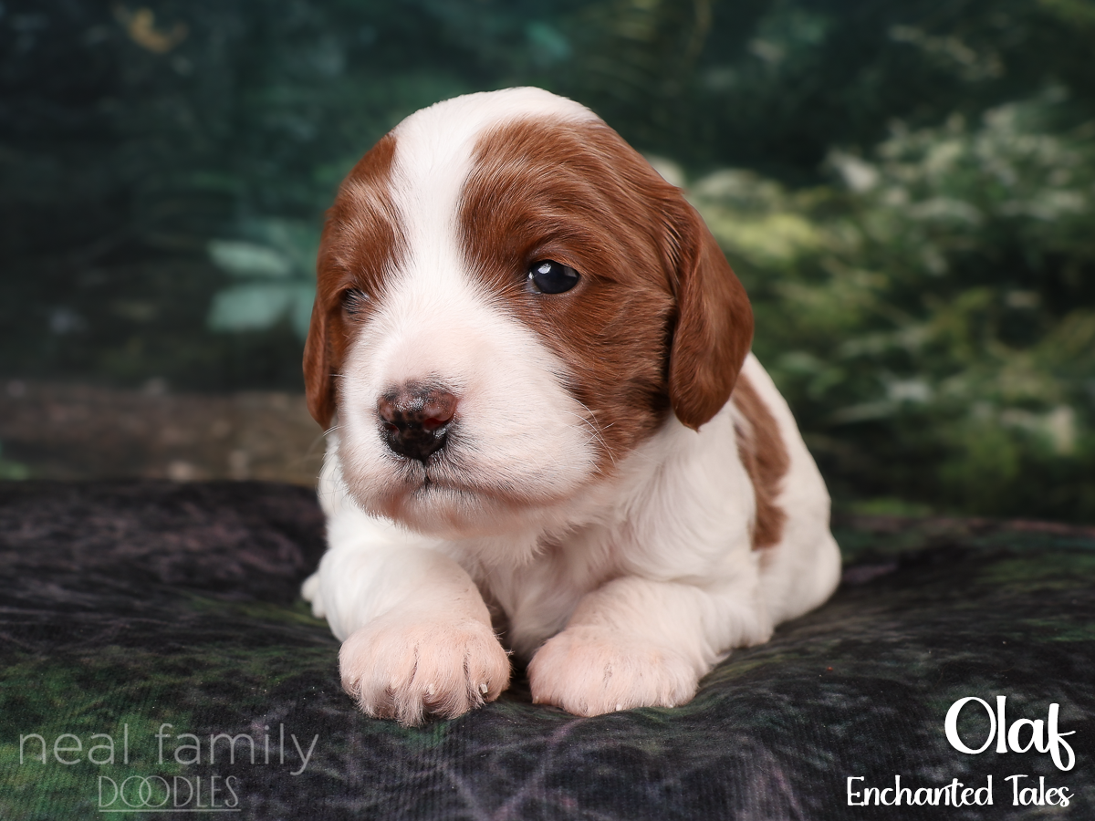IMG_2844 White 20260901 Three Weeks