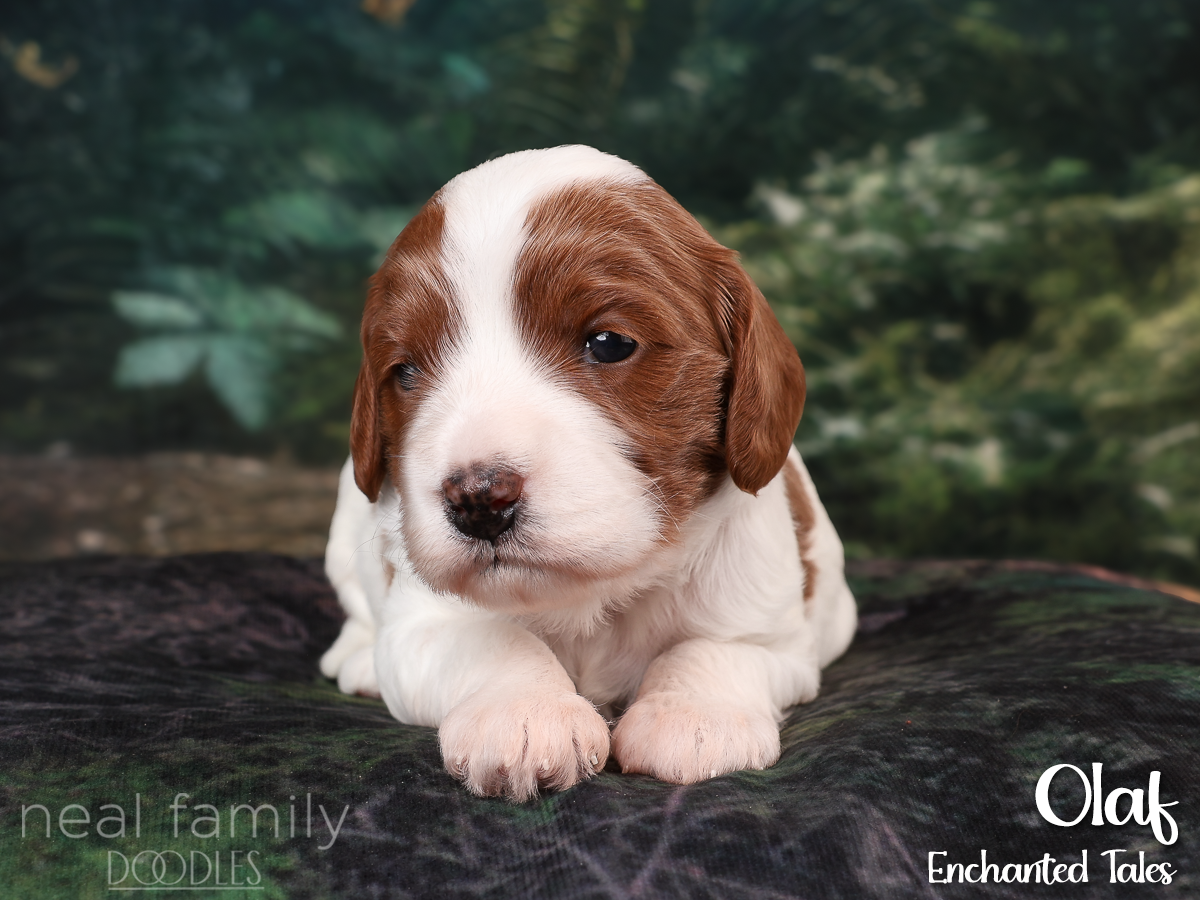 IMG_2845 White 20260901 Three Weeks