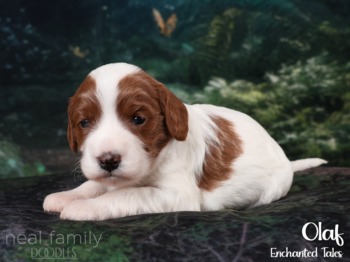 IMG_2853 White 20260901 Three Weeks