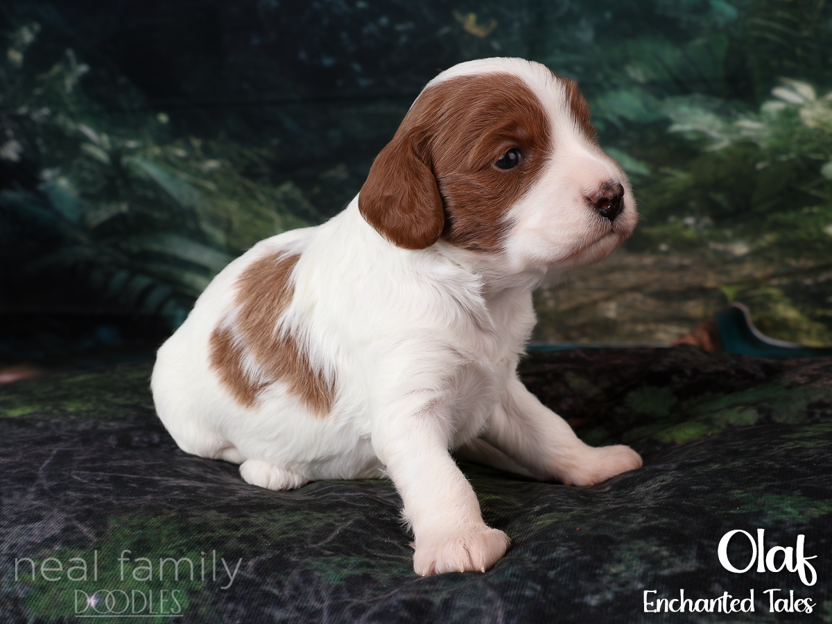 IMG_2860 White 20260901 Three Weeks