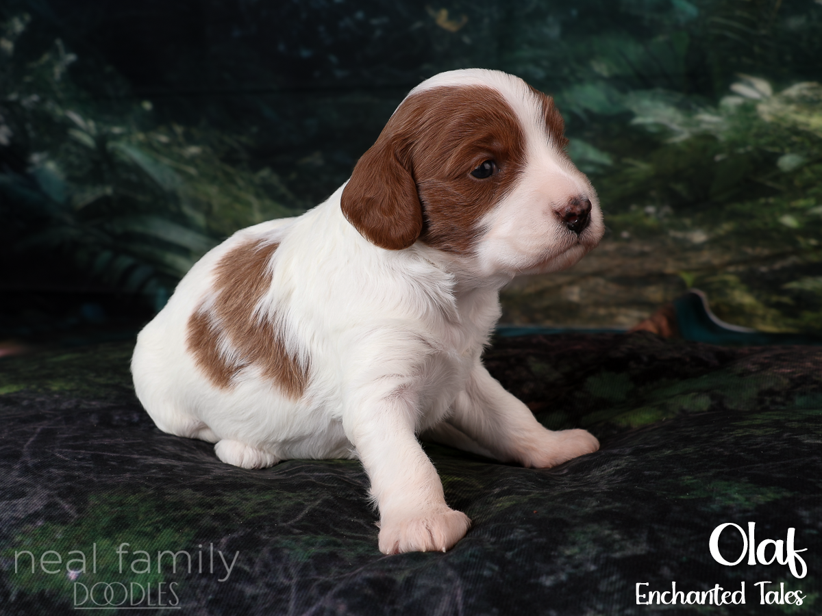 IMG_2861 White 20260901 Three Weeks