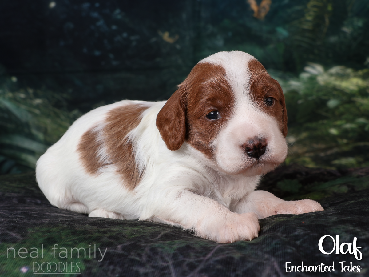 IMG_2873 White 20260901 Three Weeks