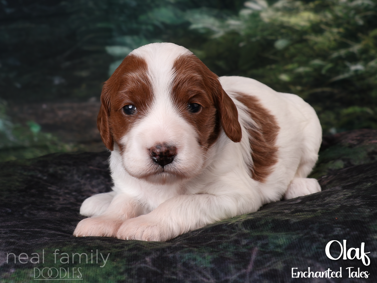 IMG_2887 White 20260901 Three Weeks