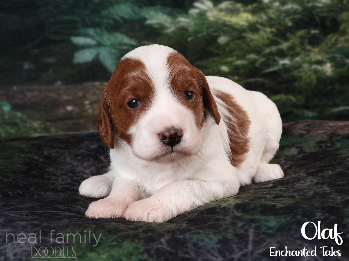 IMG_2891 White 20260901 Three Weeks