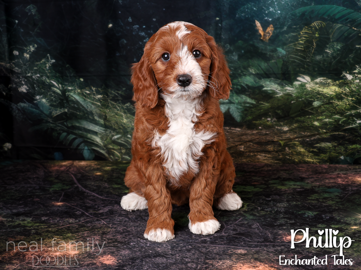 IMG_0041 Phillip 8 weeks 20261007