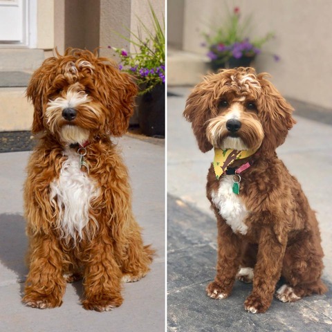 68682905_116572856361679_1915528132383735808_n