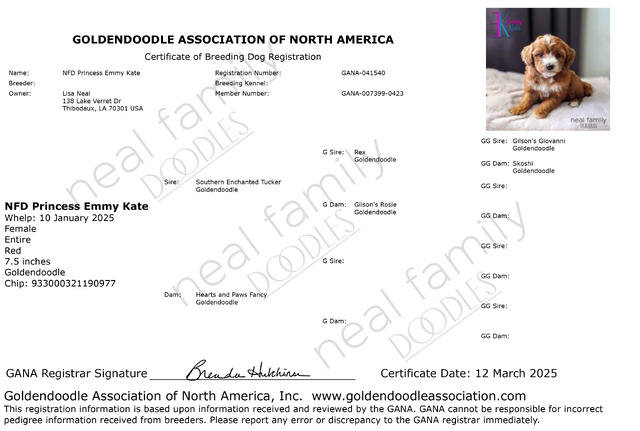 GANA Registration Emmy