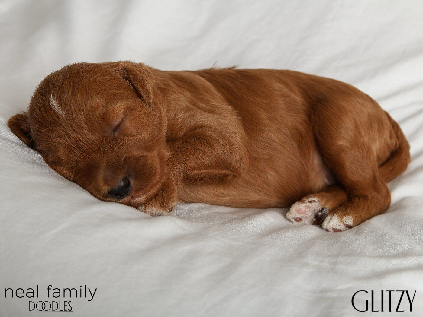 Glitzy - Day 12