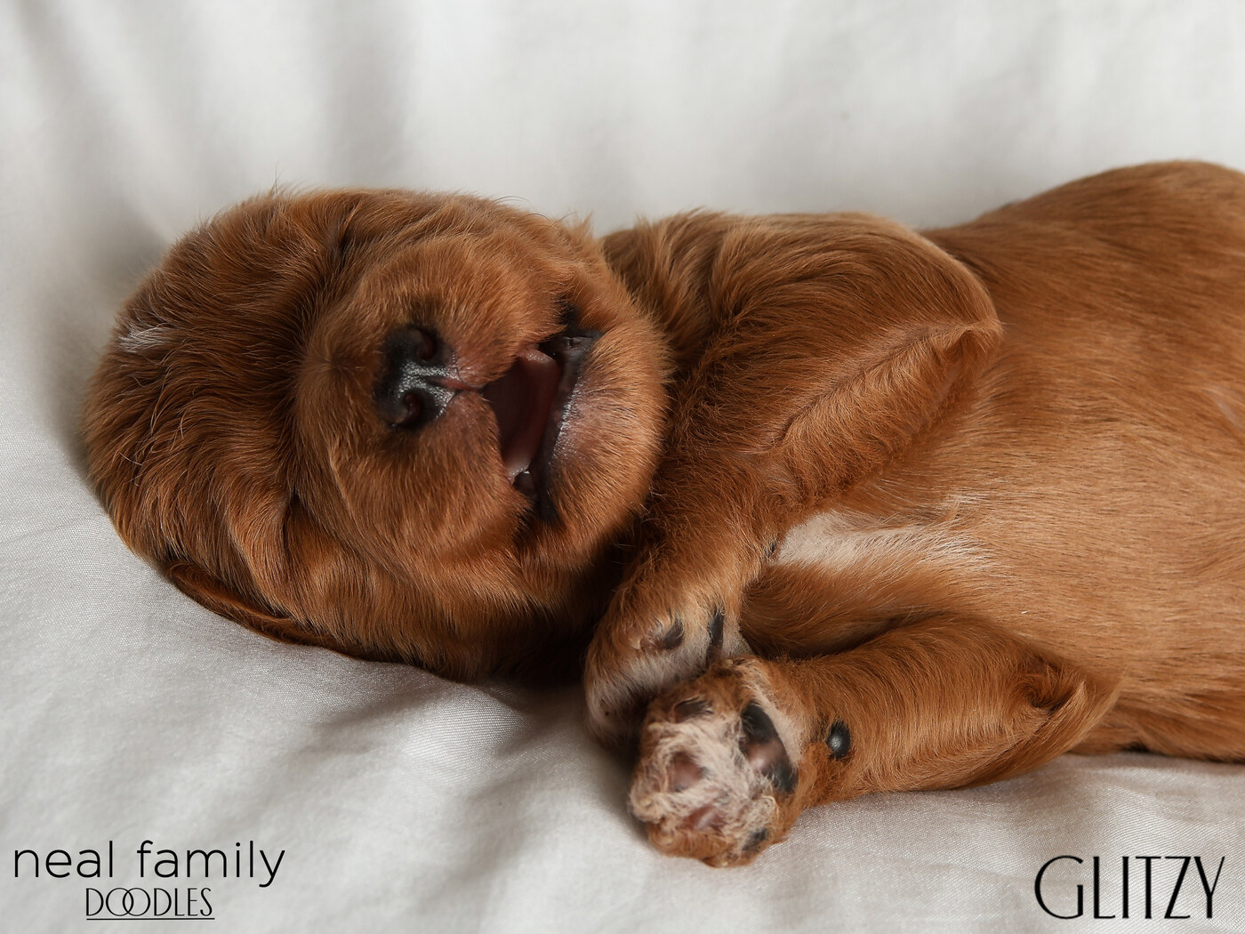 Glitzy - Day 12