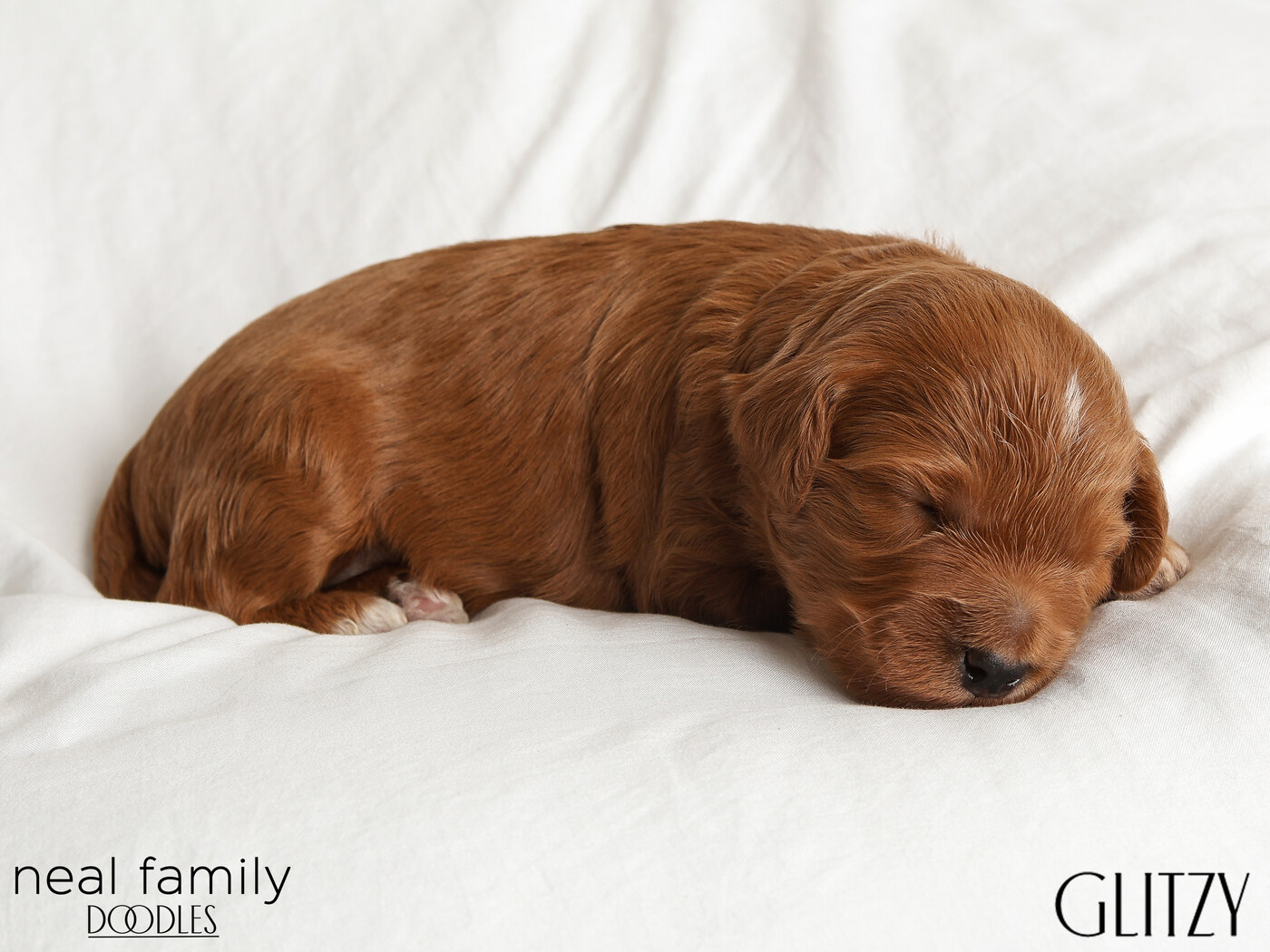 Glitzy - Day 12