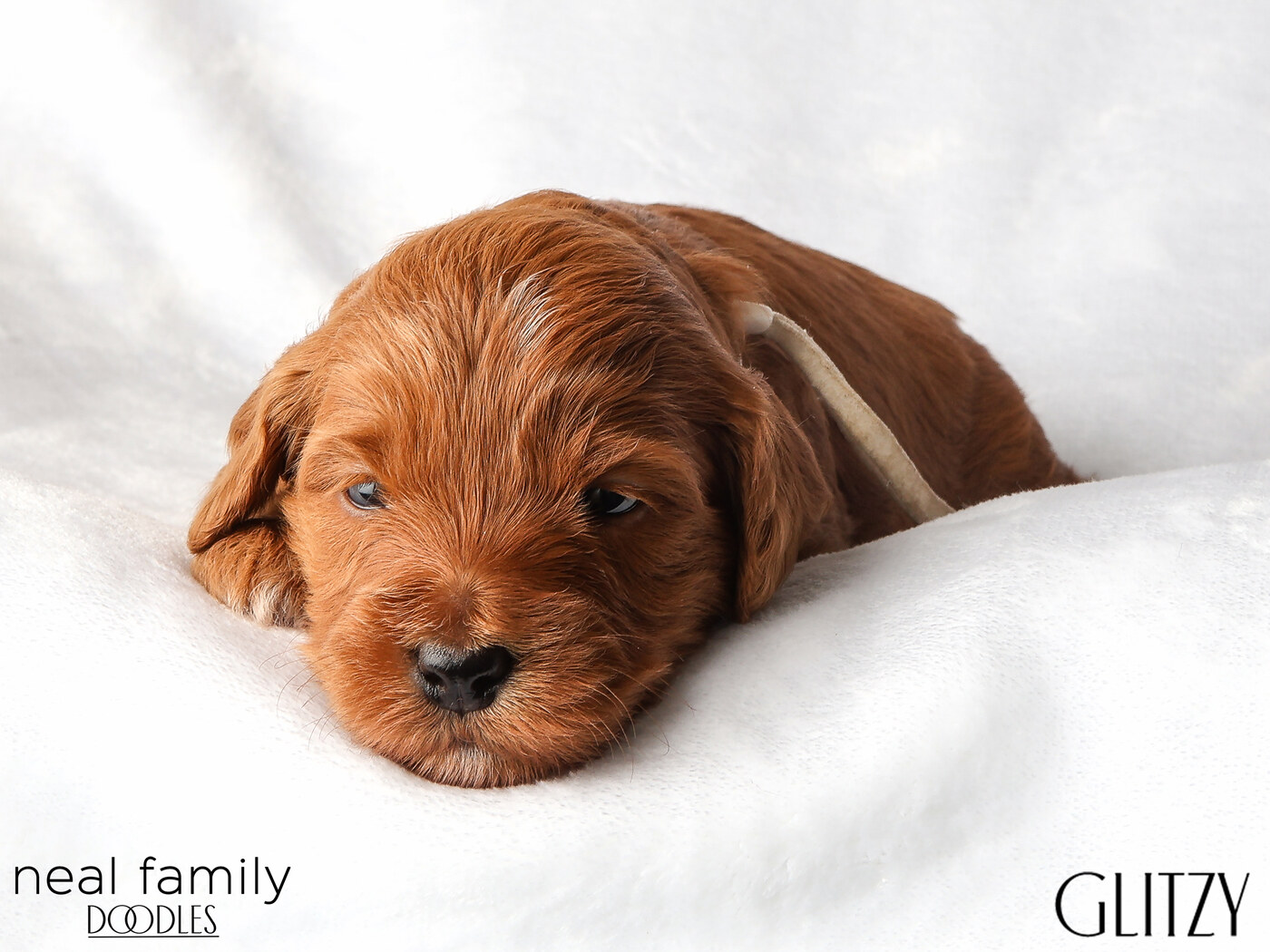 IMG_5740 Glitzy 3 weeks
