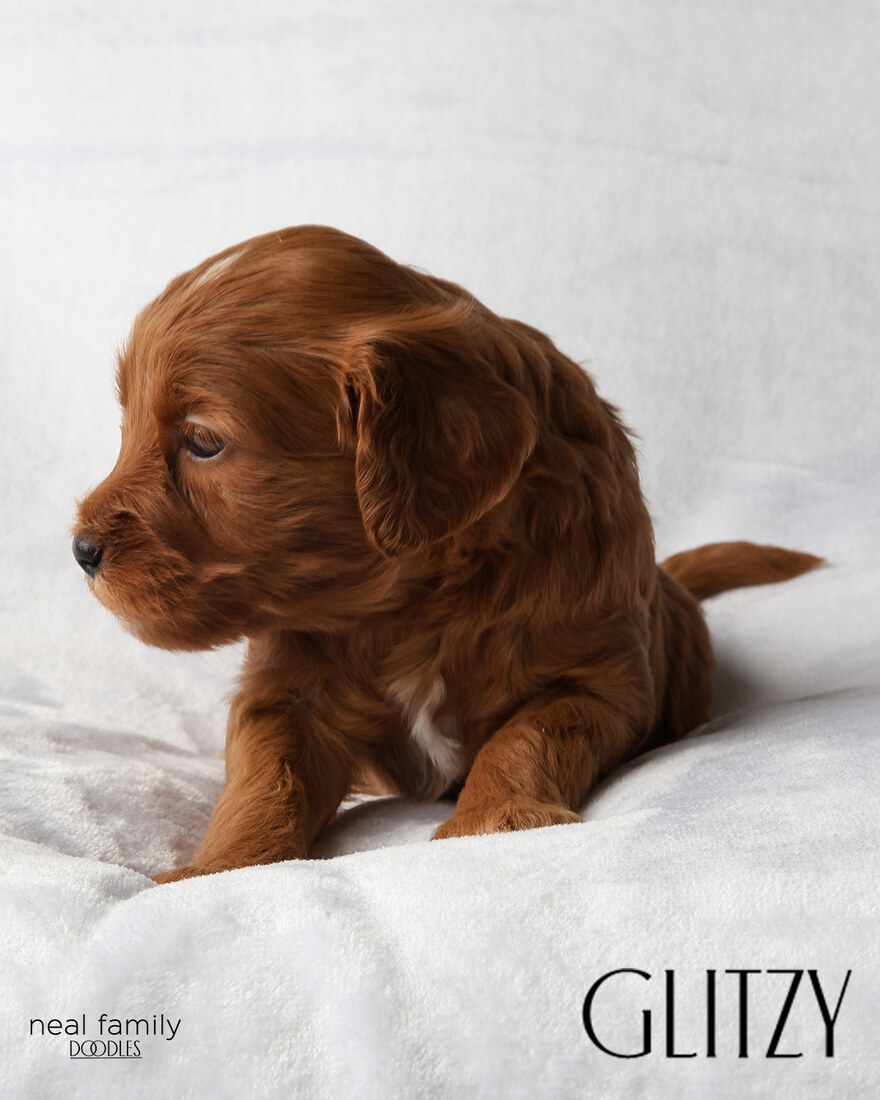 IMG_5881-2 - Glitzy 4 weeks