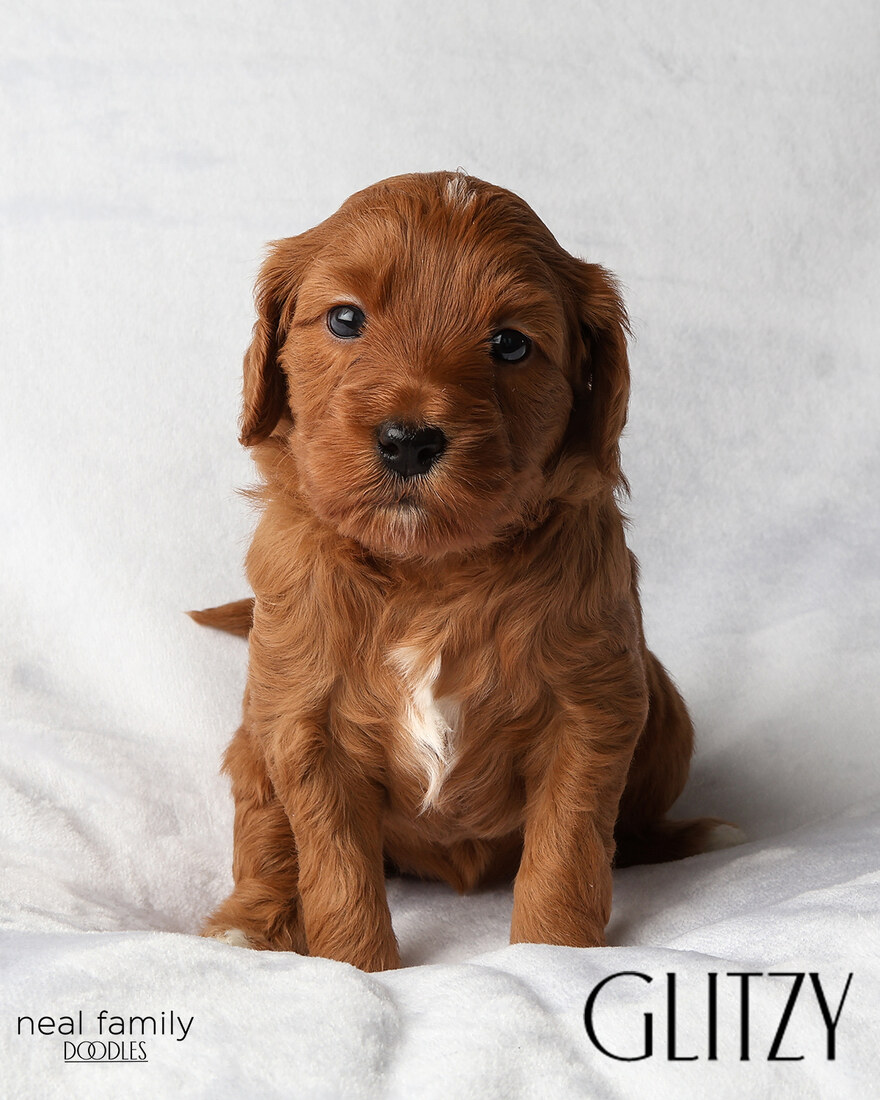 IMG_5885-2 - Glitzy 4 weeks