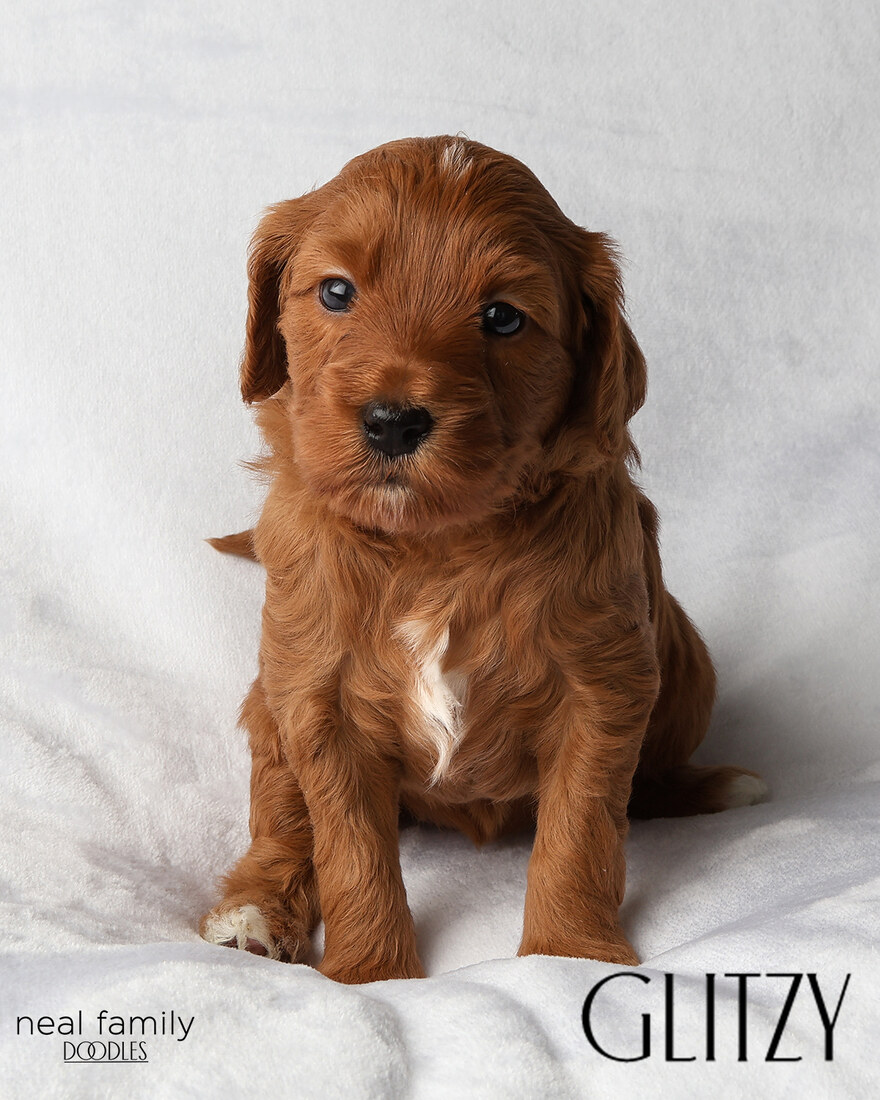 IMG_5888-2 - Glitzy 4 weeks