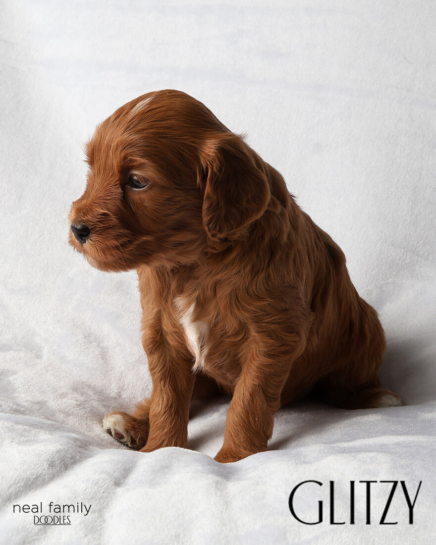 IMG_5890-2 - Glitzy 4 weeks