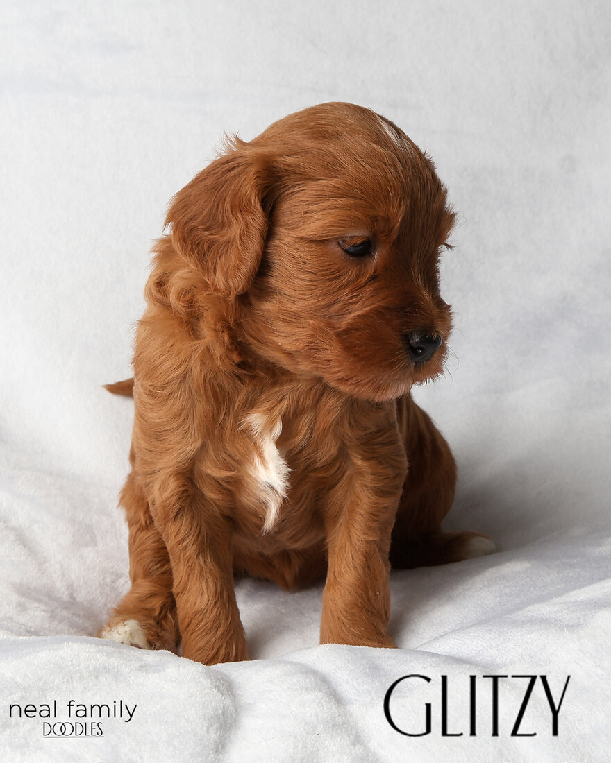 IMG_5891-2 - Glitzy 4 weeks