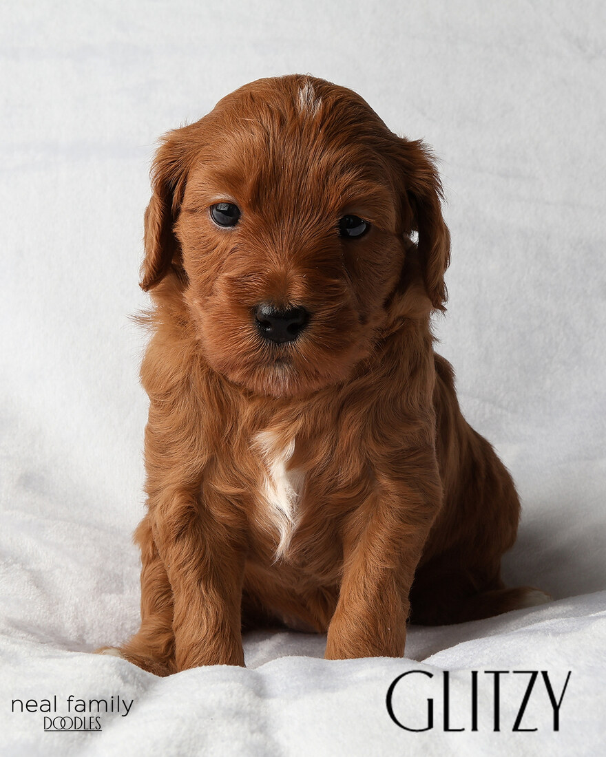 IMG_5893-2 - Glitzy 4 weeks