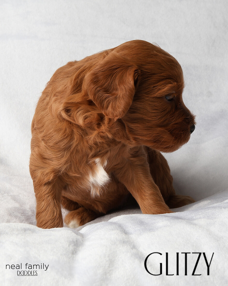 IMG_5896-2 - Glitzy 4 weeks