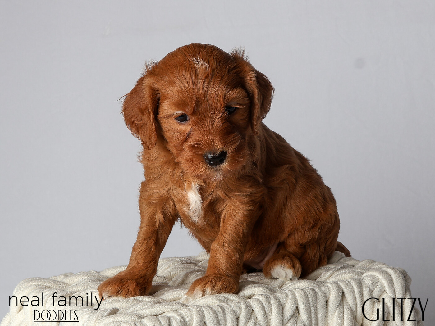 IMG_6126 Glitzy 5 weeks