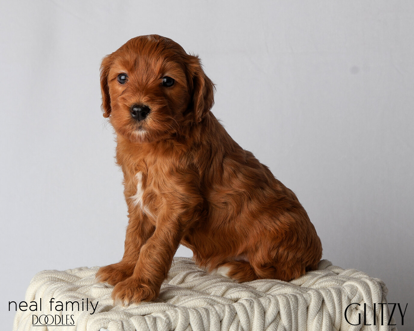 IMG_6149 Glitzy 5 weeks