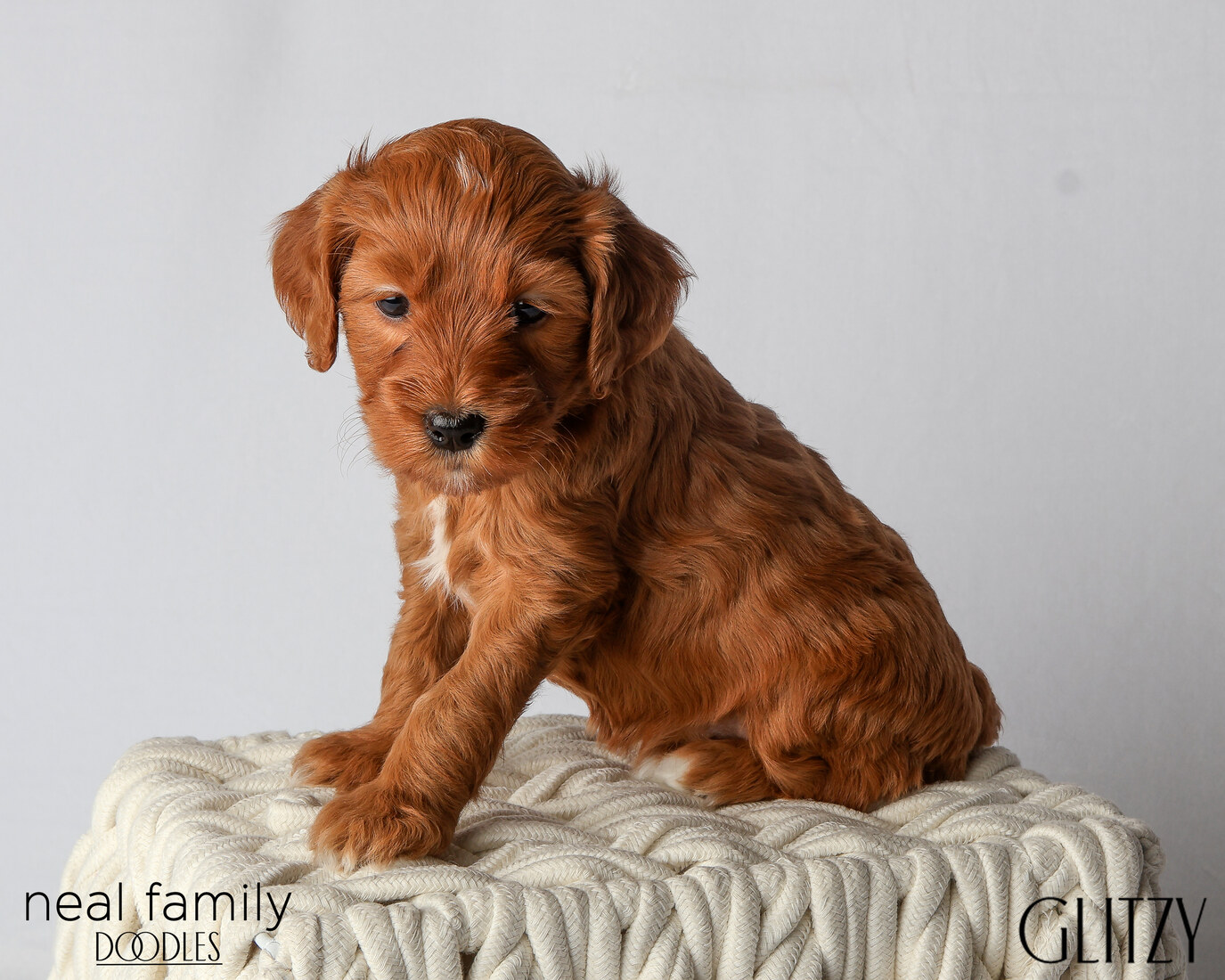 IMG_6155 Glitzy 5 weeks