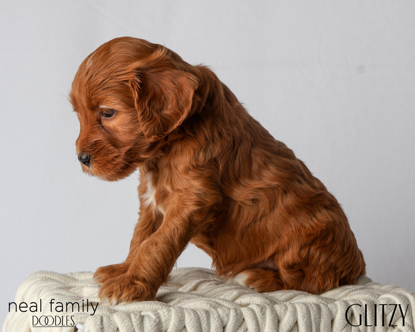 IMG_6156 Glitzy 5 weeks