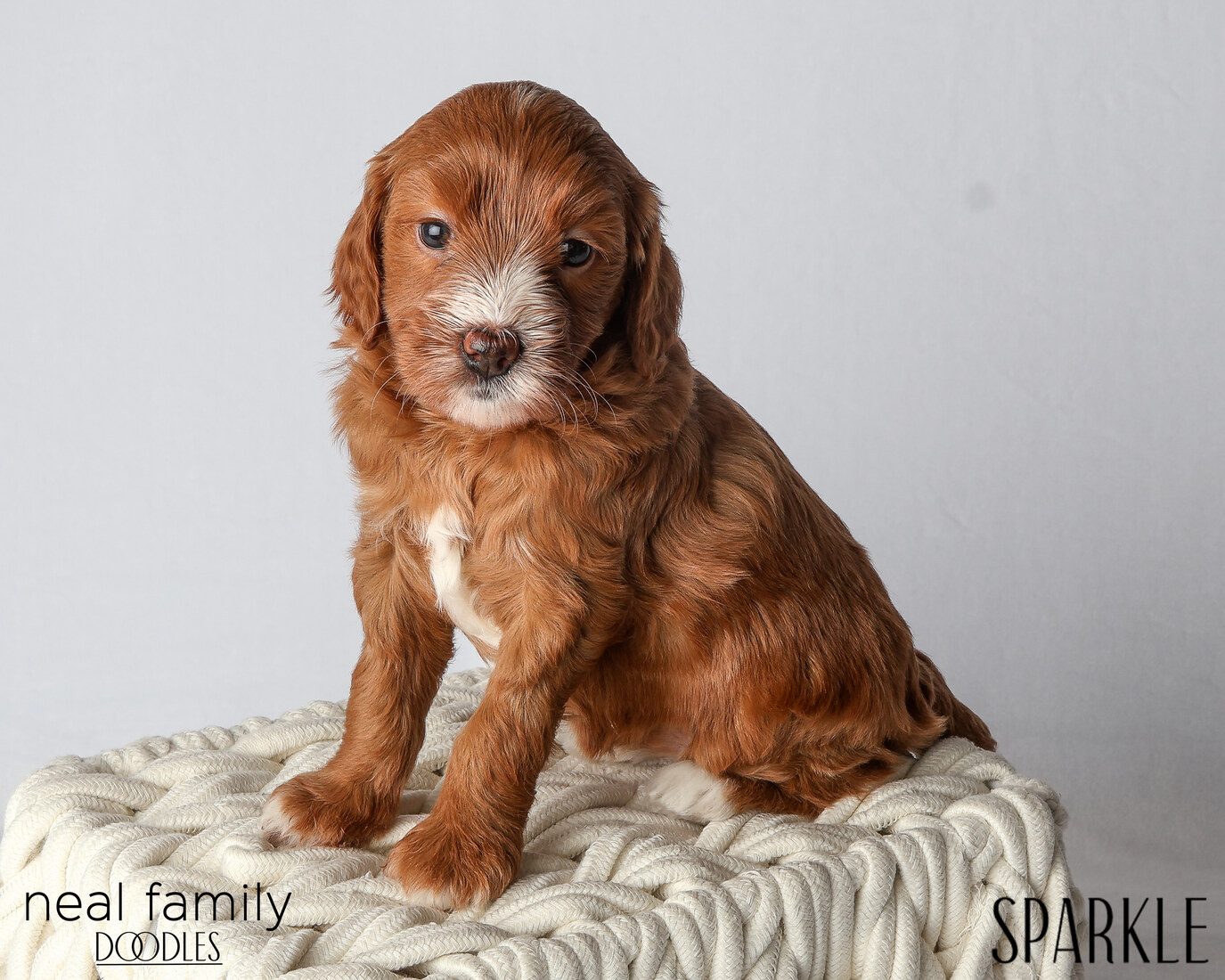 IMG_6113 Sparkle 5 weeks