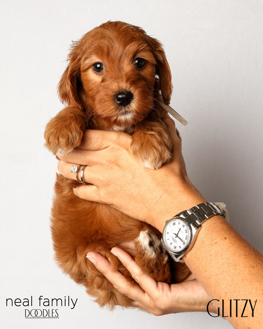 IMG_6228 Glitzy 6 weeks