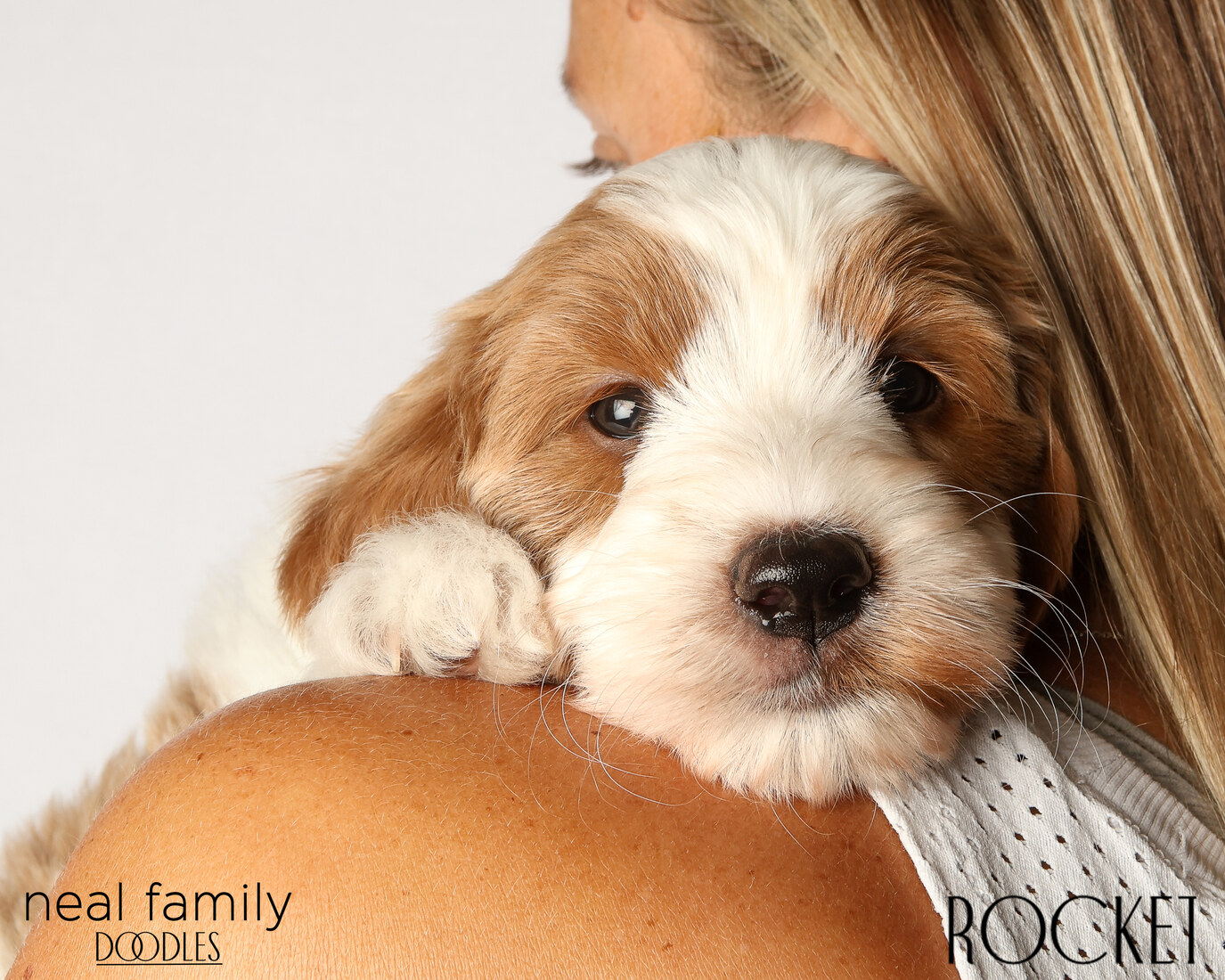 IMG_6249 Rocket 6 weeks