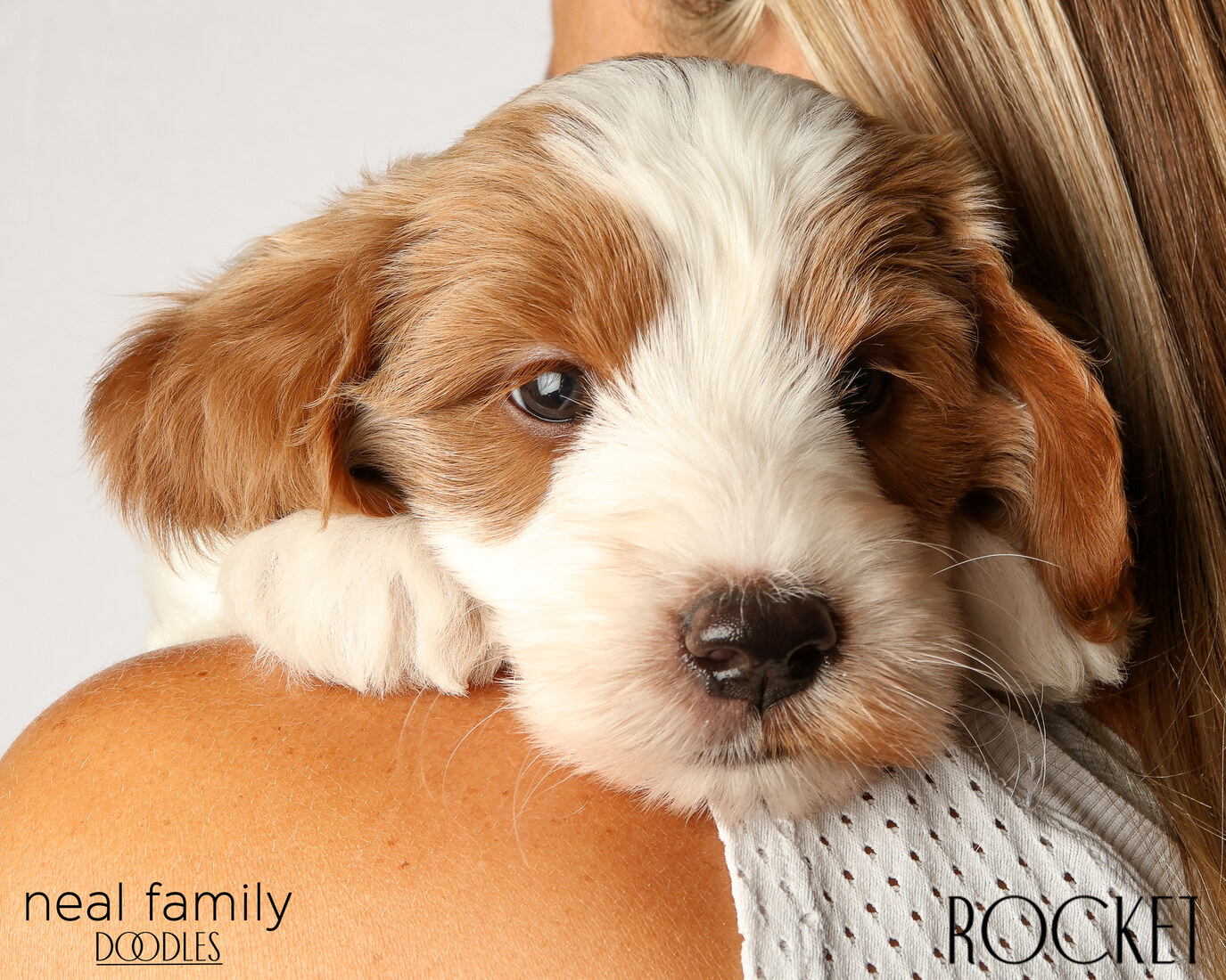 IMG_6250 Rocket 6 weeks