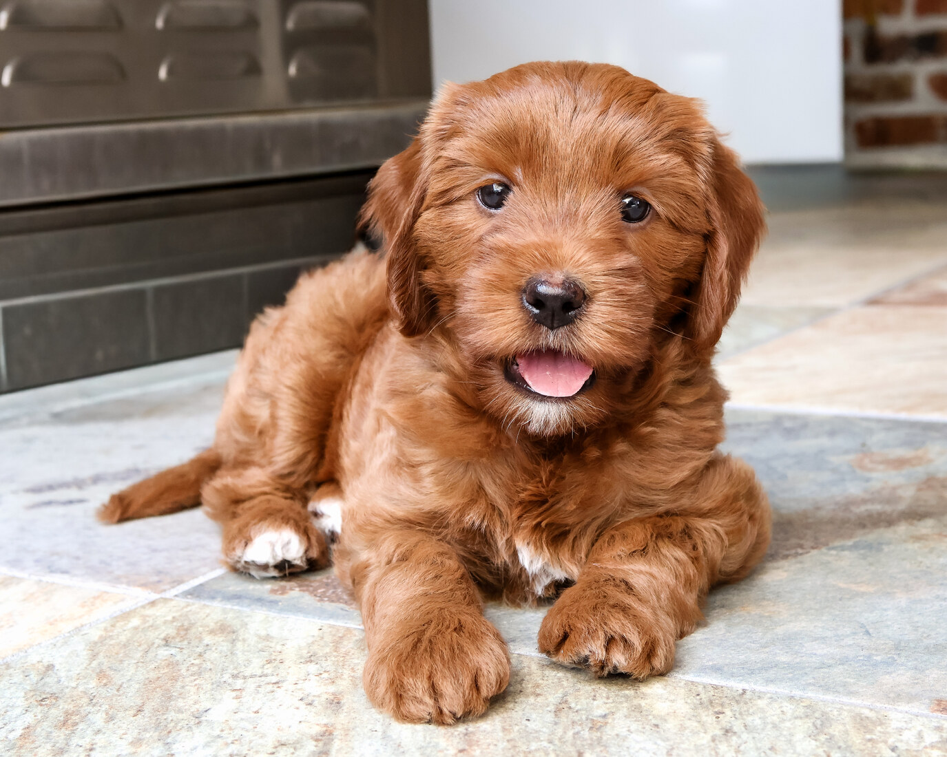 IMG_6482 Twinkle 7 weeks