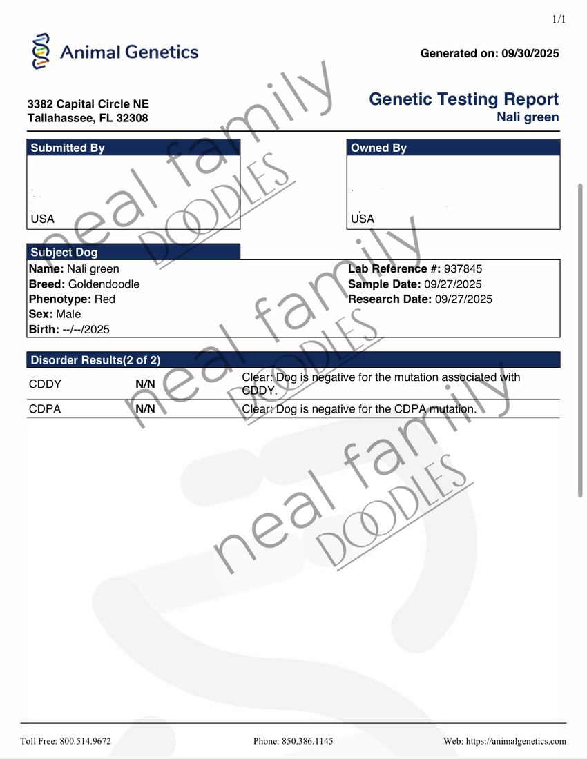 AG testing Roman IVDD
