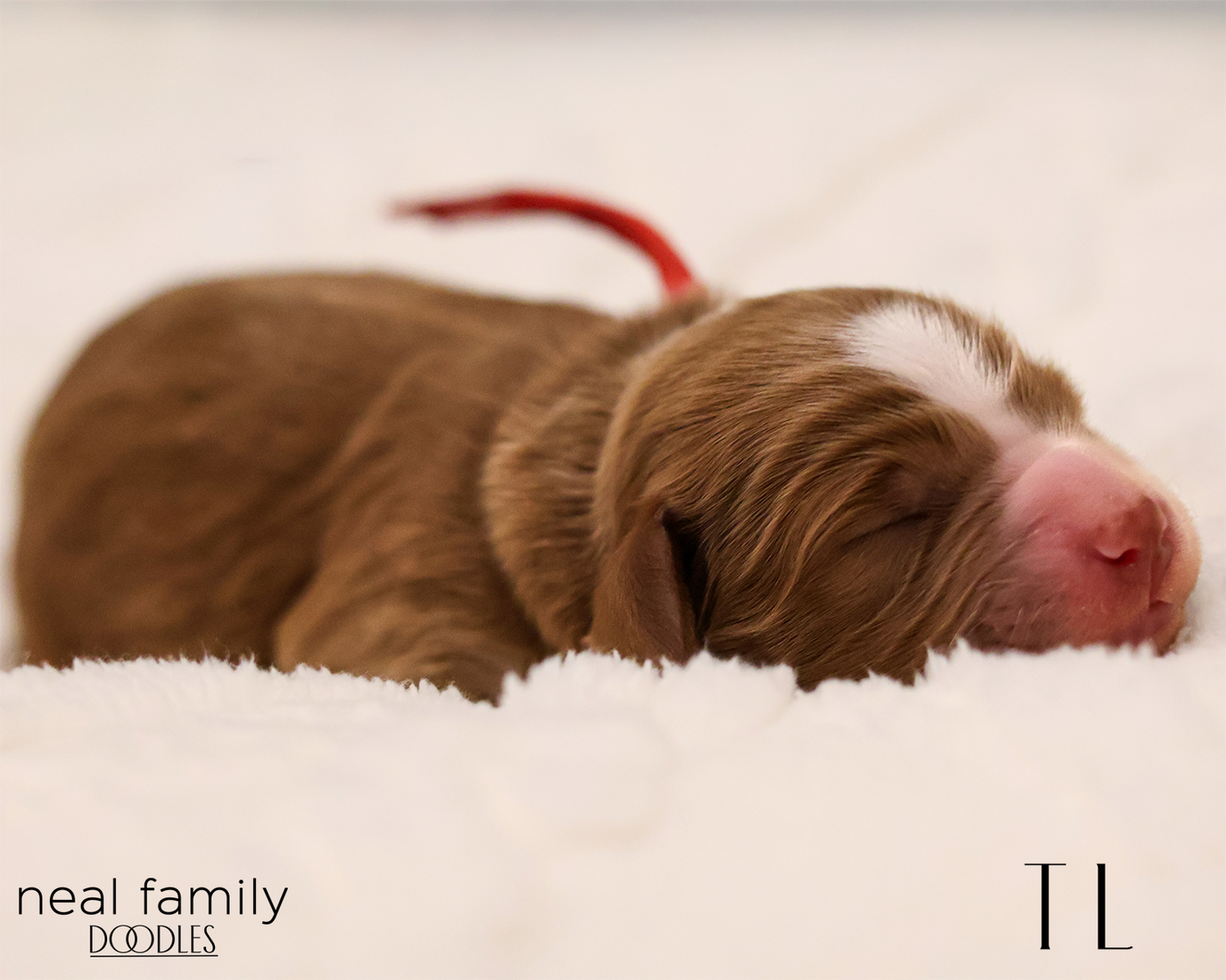 TL 20260129-IMG_9259