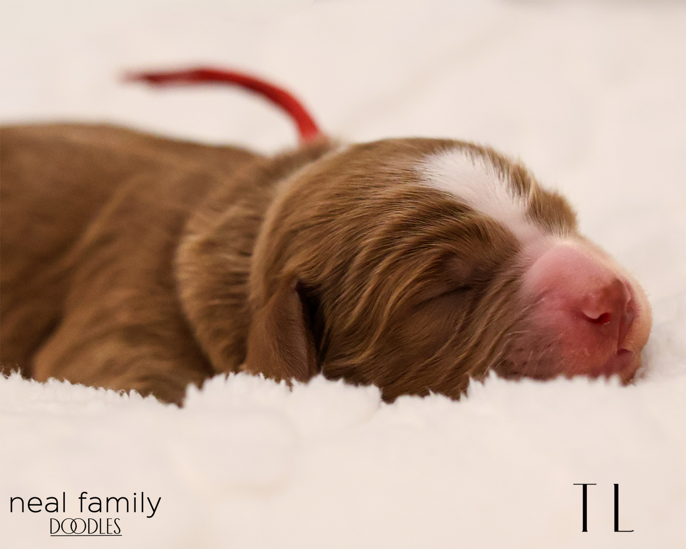 TL 20260129-IMG_9258