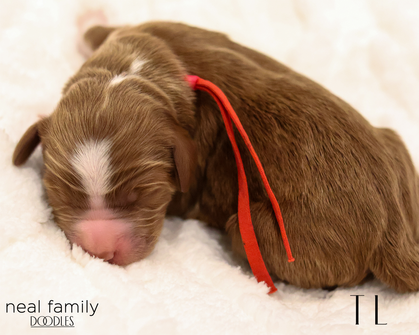 TL 20260129-IMG_9254