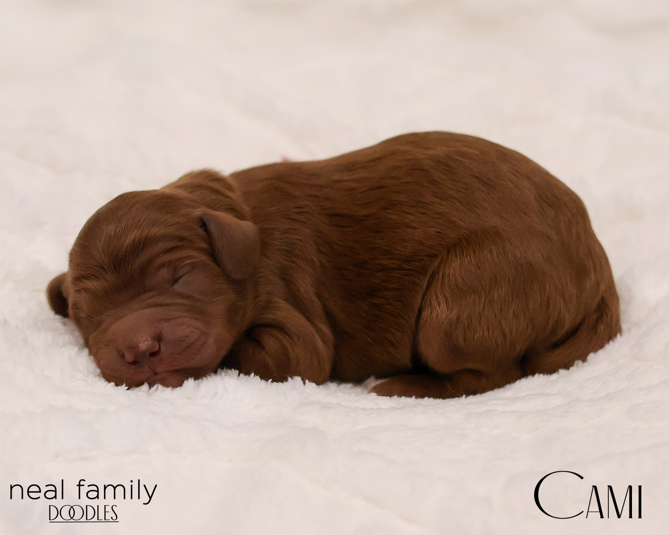 Cami 20260129-IMG_9120