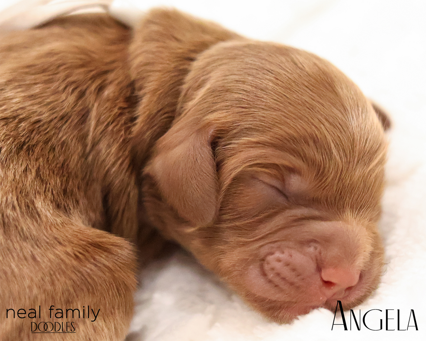 Angela 20260129-IMG_9168