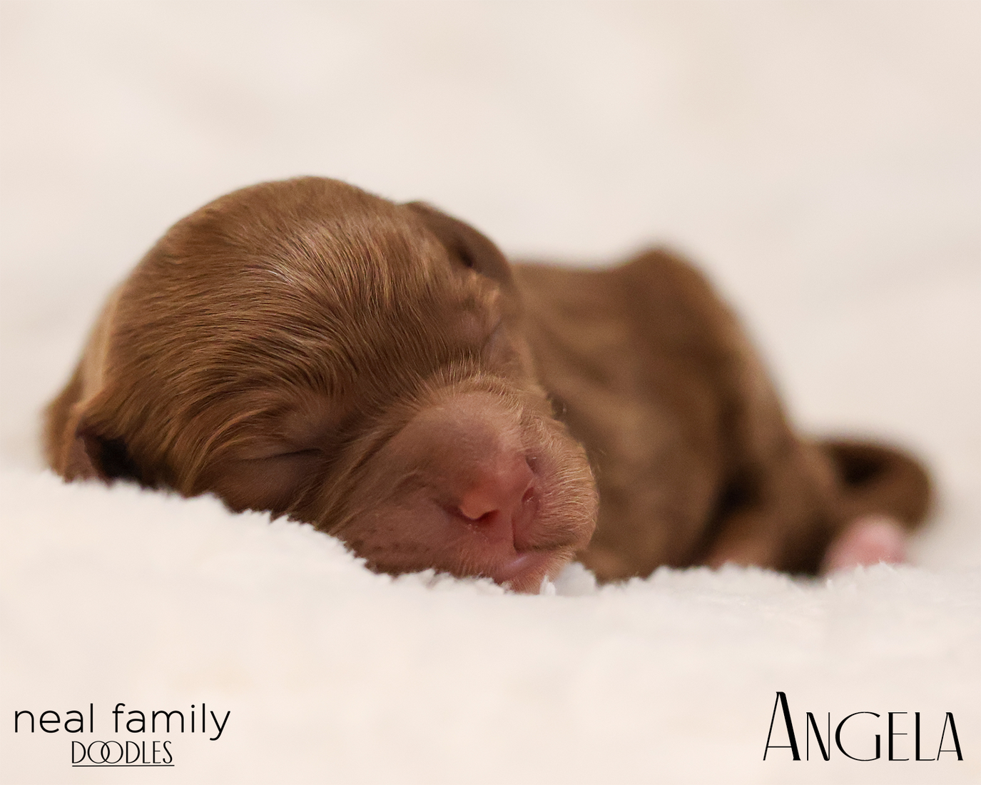 Angela 20260129-IMG_9182