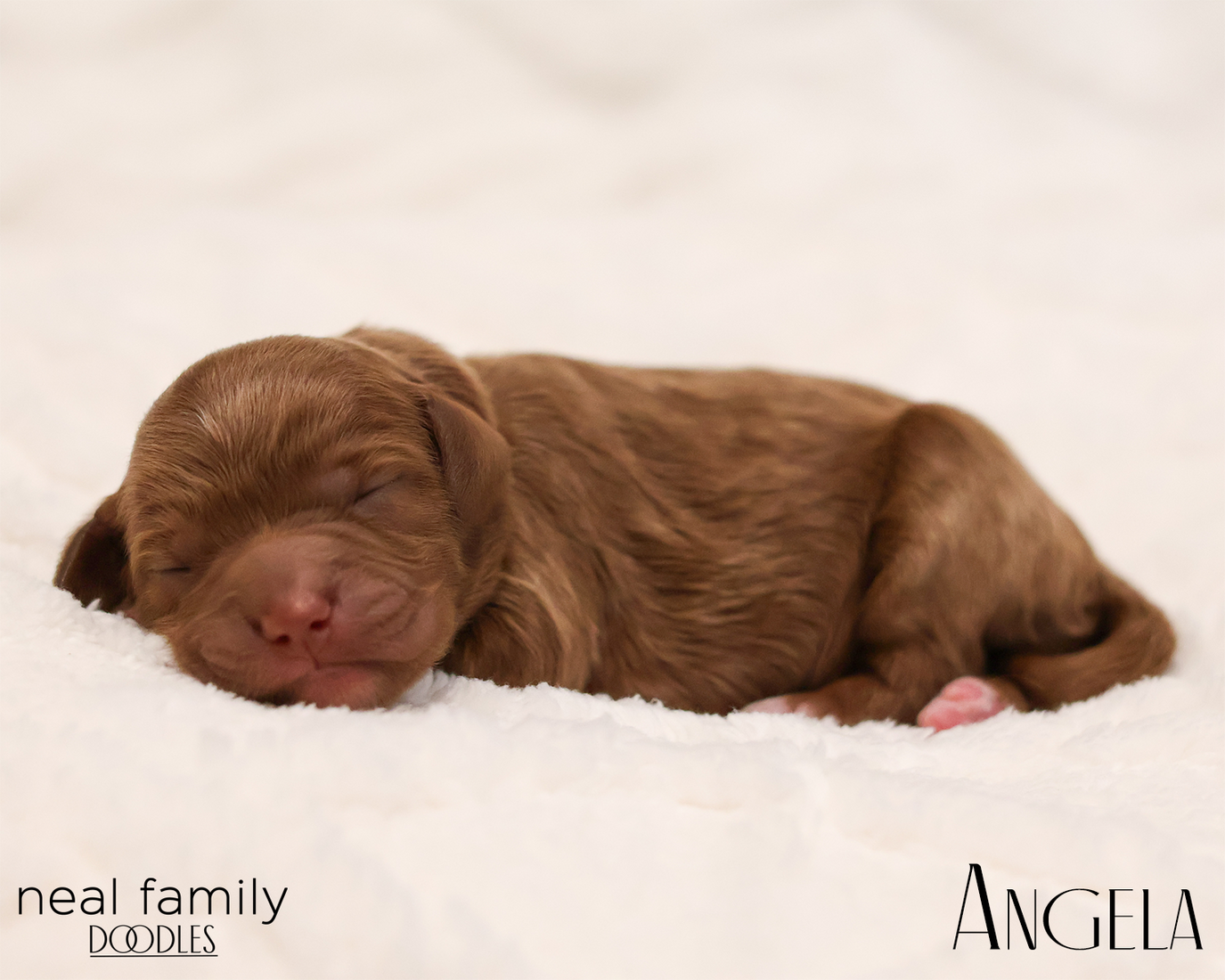 Angela 20260129-IMG_9193