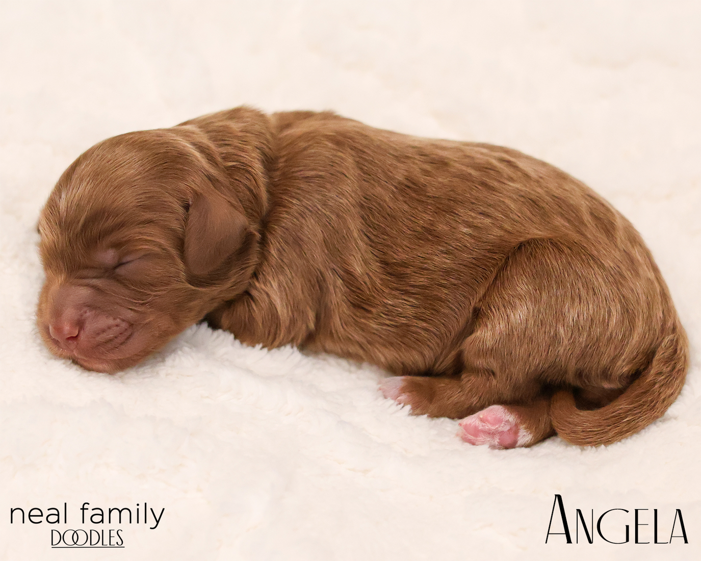 Angela 20260129-IMG_9194