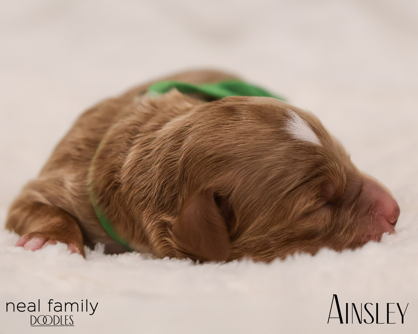 Ainsley 20260129-IMG_9200